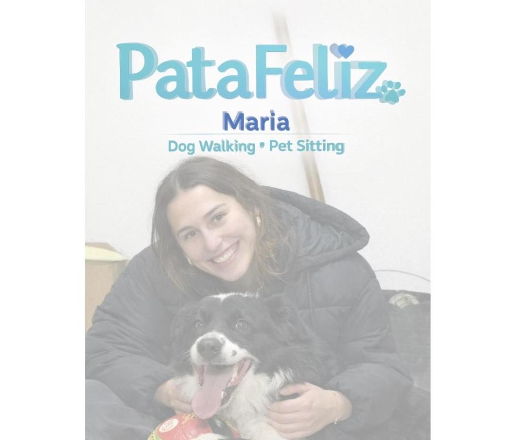 Pet Sitting e Dog walking com amor