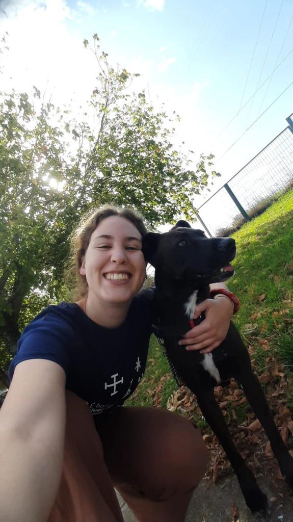 Petsitter Matosinhos, Maia e Porto