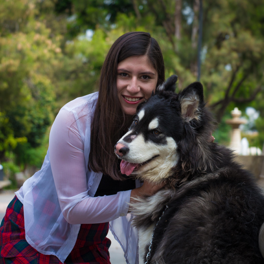 Pet Sitters e Walkers
