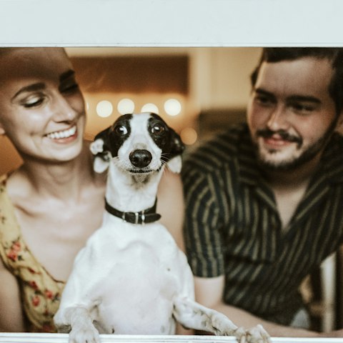 Casal com o seu cão à janela