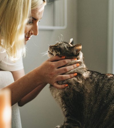 Veterinária a examinar um gato